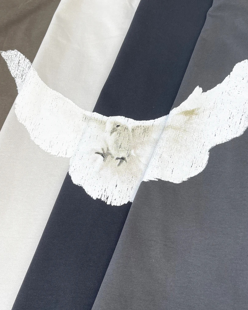 Y2K Grunge Dove Shirt - Retro 90S Summer Outfit, Pastel Goth, Y2K Club & Party Fashion