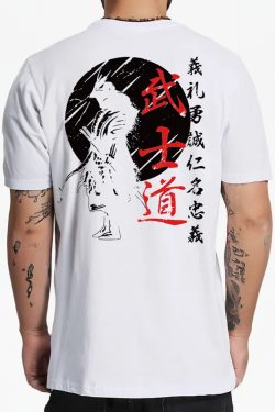 Y2K Samurai T-Shirt - Retro 90S Grunge, Y2K Summer Outfits, Pastel Goth, Y2K Club &