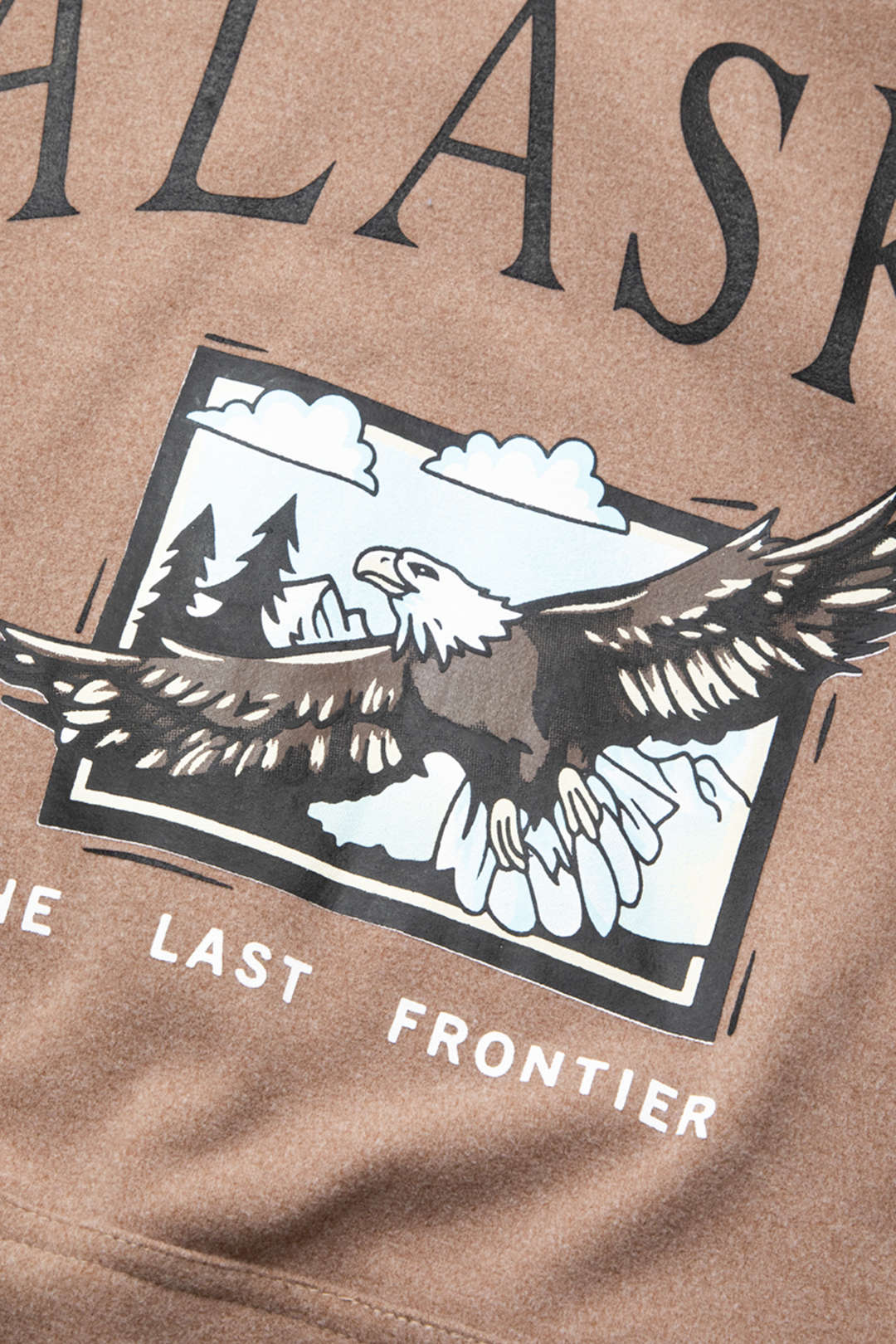 Eagle Print Y2K Aesthetic Hooded Sweatshirt with Front Pocket for Comfy Style Eagle Print Y2K Aesthetic Hooded Sweatshirt with Front Pocket for Comfy Style