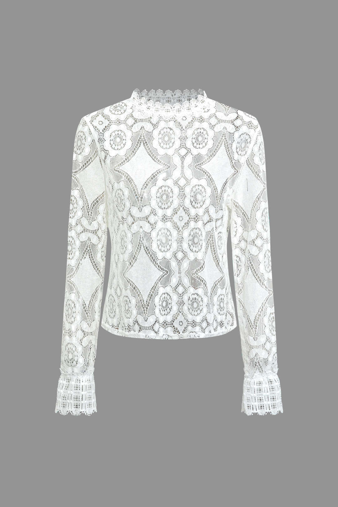 Floral Lace Embroidery Mock Neck Blouse with Lantern Sleeves for Y2K Aesthetic Outfits Floral Lace Embroidery Mock Neck Blouse with Lantern Sleeves for Y2K Aesthetic Outfits