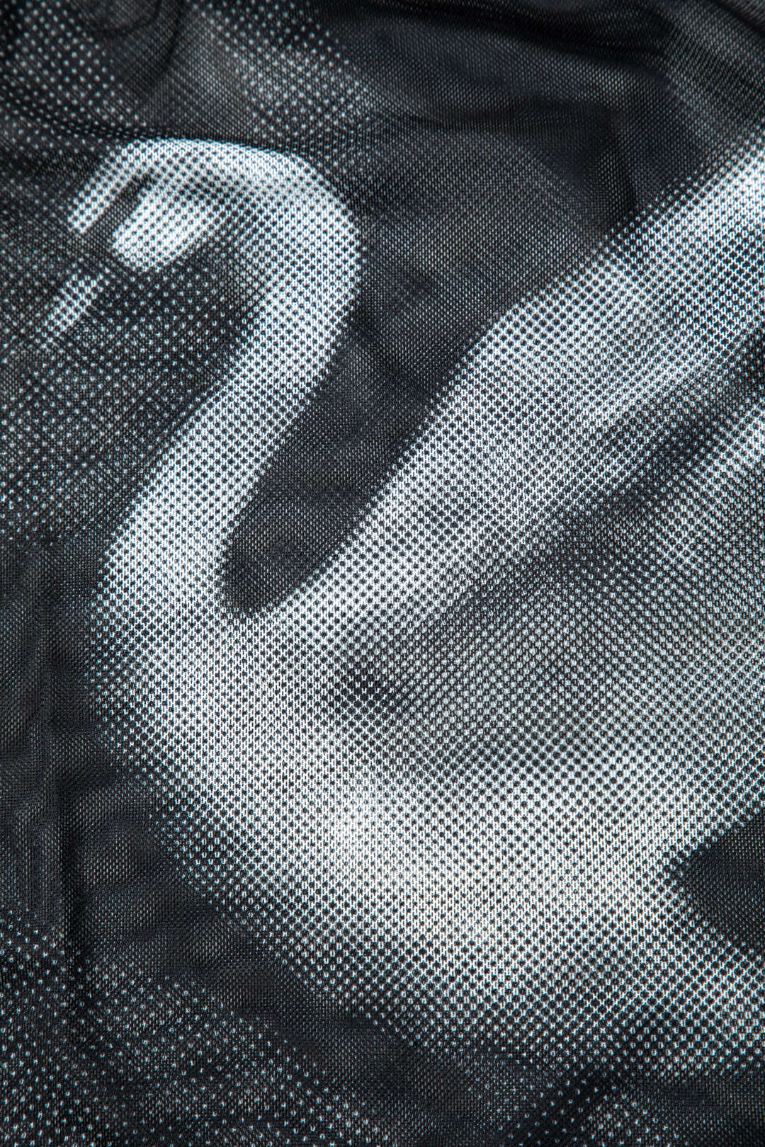 Swan Print Sheer Mesh Long Sleeve Top with Asymmetrical Hem for Y2K Aesthetic Fashion Swan Print Sheer Mesh Long Sleeve Top with Asymmetrical Hem for Y2K Aesthetic Fashion