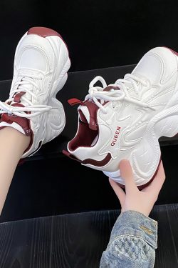 10cm Height-Increasing Dad Shoes for Women - Spring 2025 Thick-Soled Casual Sneakers for Short Stature, Trendy Little White Shoes