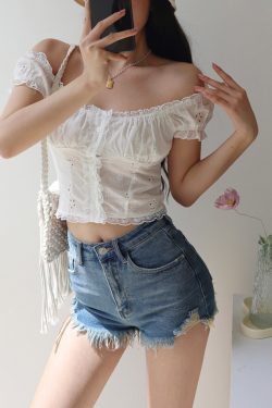 Exquisite Embroidered Lace Trim Puff Sleeve Top - French Retro Court Style Vacation Top for Women