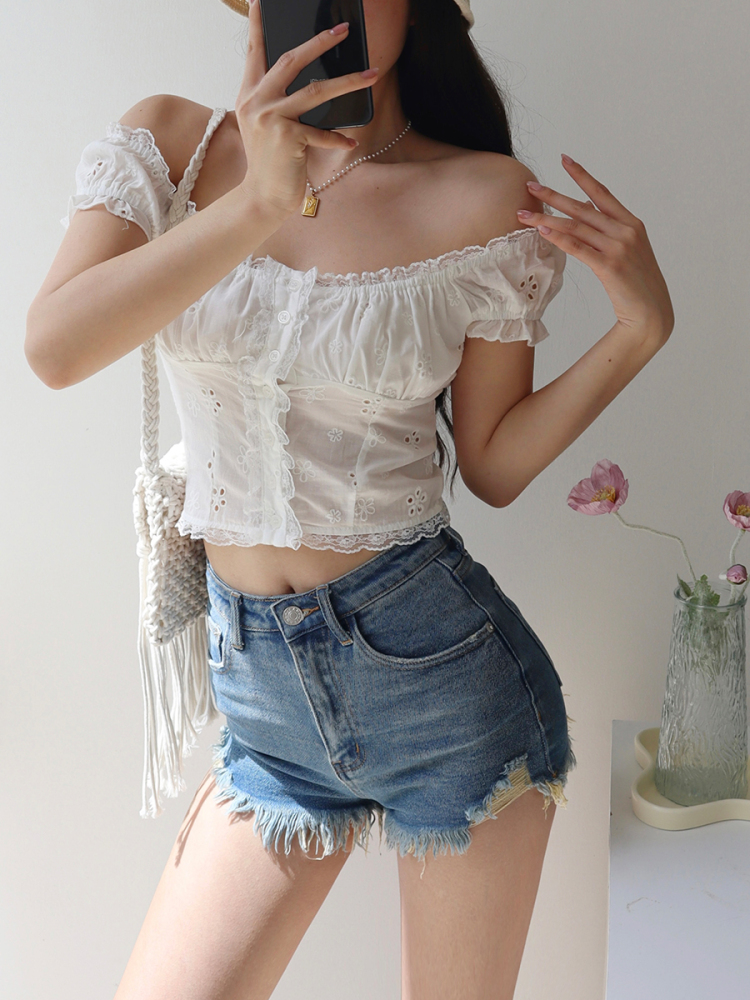 Exquisite Embroidered Lace Trim Puff Sleeve Top - French Retro Court Style Vacation Top for Women Exquisite Embroidered Lace Trim Puff Sleeve Top - French Retro Court Style Vacation Top for Women