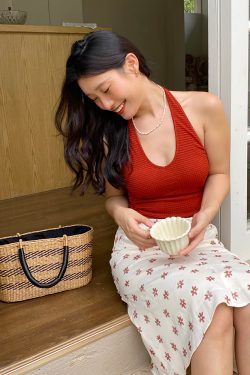 French Vintage Halter Neck Backless Crop Top for Women – Summer Sexy Vest with Chest Pad, Y2K Style