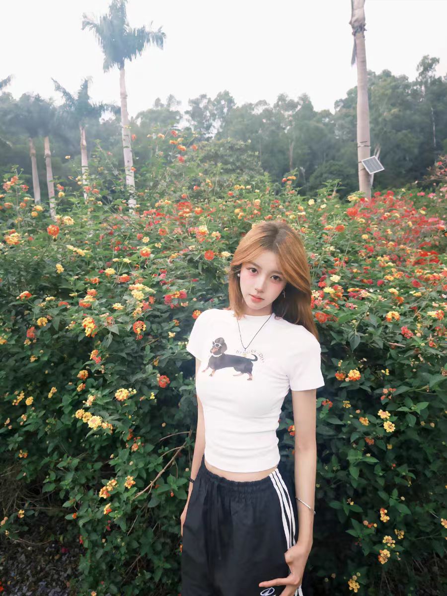 Korean-Style Retro Sausage Dog Printed Short Sleeve T-Shirt for Women, Slim-Fit Summer Top, Stretchy and Flattering Design Korean-Style Retro Sausage Dog Printed Short Sleeve T-Shirt for Women, Slim-Fit Summer Top, Stretchy and Flattering Design