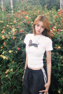 Korean-Style Retro Sausage Dog Printed Short Sleeve T-Shirt for Women, Slim-Fit Summer Top, Stretchy and Flattering Design