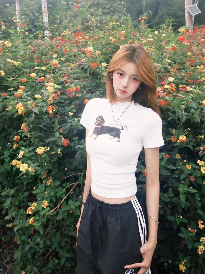 Korean-Style Retro Sausage Dog Printed Short Sleeve T-Shirt for Women, Slim-Fit Summer Top, Stretchy and Flattering Design Korean-Style Retro Sausage Dog Printed Short Sleeve T-Shirt for Women, Slim-Fit Summer Top, Stretchy and Flattering Design