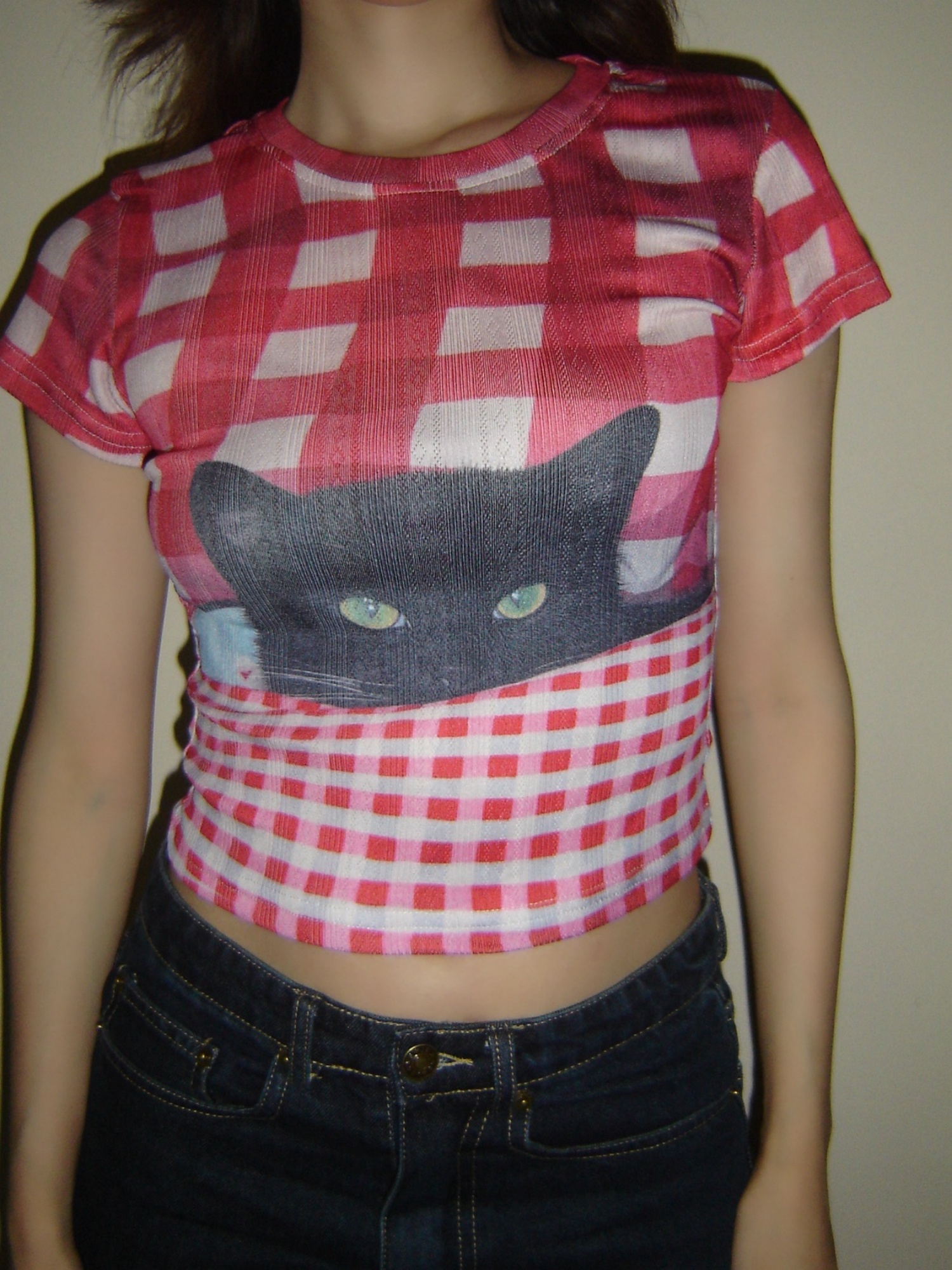 Plaid Cat Vintage Print Short Sleeve T-Shirt for Women - 2025 Summer American Hot Girl Style, Trendy Y2K Fashion Plaid Cat Vintage Print Short Sleeve T-Shirt for Women - 2025 Summer American Hot Girl Style, Trendy Y2K Fashion