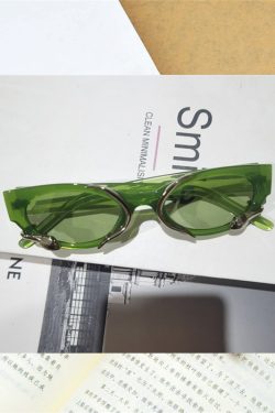 Retro Snake-Shaped Cat-Eye Sunglasses for Women - Millennium Style Korean Trendy Hip-Hop Party Eyewear