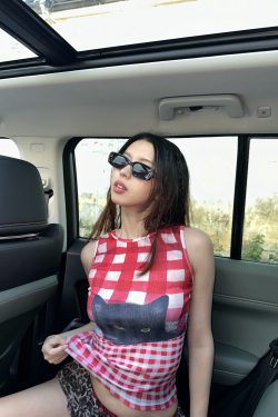 Vintage Sweetheart Cat Print Plaid Sleeveless Camisole Top for Women - 90s Inspired Hot Girl Style Inner Vest