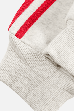 Style Core Aesthetics, New Style Trends Color-Block Embroidered Stand Collar Jacket