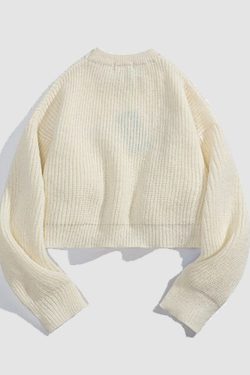 Style Core Aesthetics, New Style Trends Flower & Letter Pattern Cropped Sweater