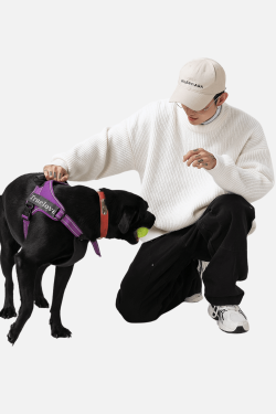 Style Core Aesthetics, New Style Trends Heavy Weight Texture Knit Pullover