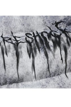 Style Core Aesthetics, New Style Trends Oversized Thorn-Embossed Insulated Puffer