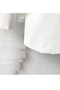 Style Core Aesthetics, New Style Trends Stylish Mesh Ruffle Decor Blazer