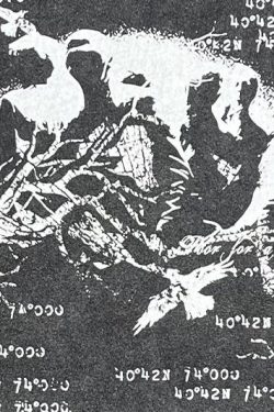 Style Core Aesthetics, New Style Trends Wax-Dye Print Tank Top